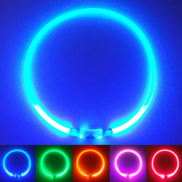 LED-halsbånd - Lett, USB-oppladbart sikkerhetshalsbånd for hunder