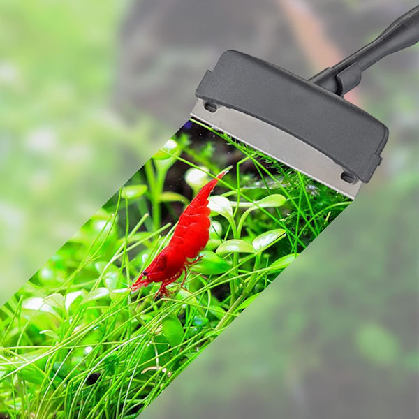 Akvarium Rengöringsverktyg 6 i 1 Akvarium Rengöringsset med Fiske
