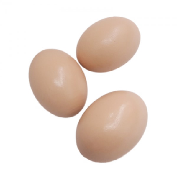 5 st Fake Egg Konstgjord Höns Fjäderfä Coop Plast Nest Bekvämt