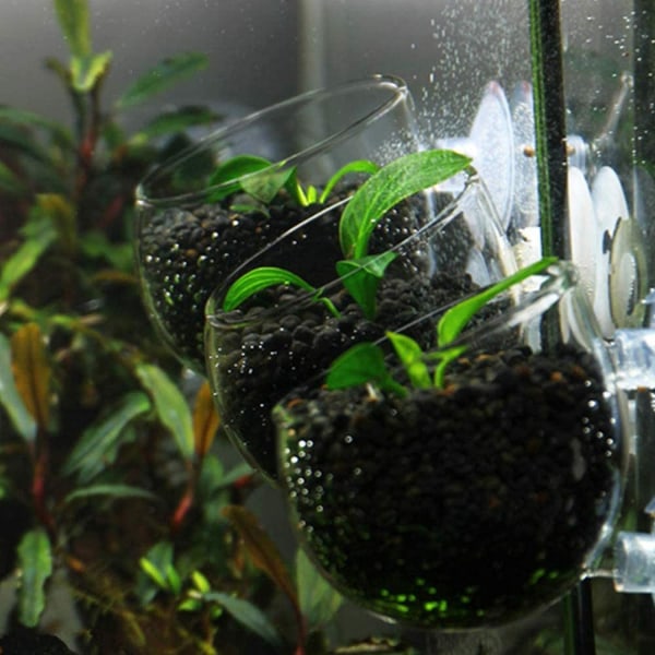 2 x Glas til Planteakvarium Dekoration Lille Fisketank med 4 x