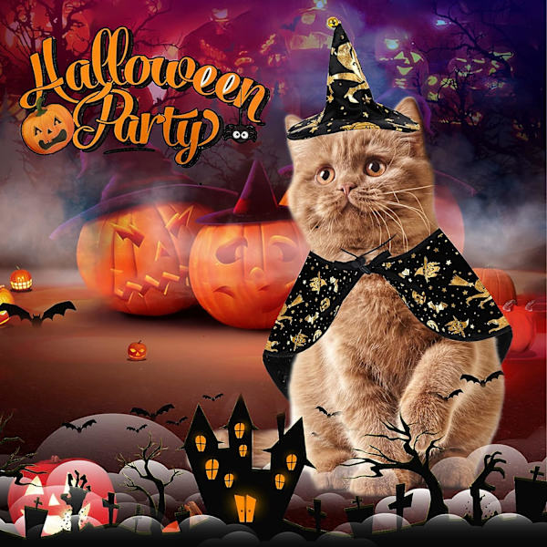 (Wizard) Lemmikki Halloween -asut, Koiran asu Viitta Kissan viitta Noita
