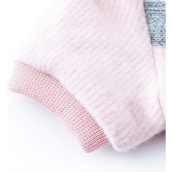 Chihuahua Yorkshire -pentueen fleece-talvitakki huppulla