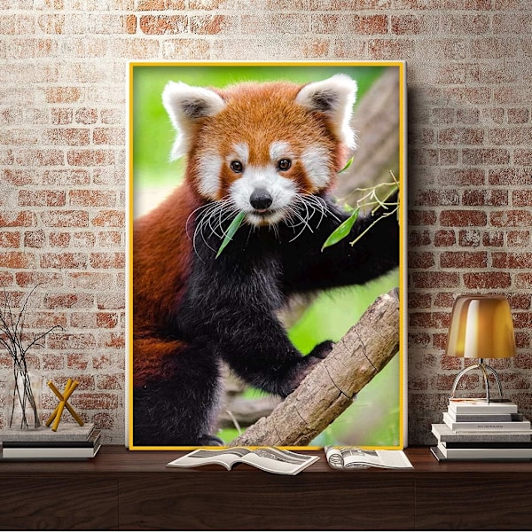 Timanttimaalaussetti aikuisille Timanttimaalaus Timanttiraccoon