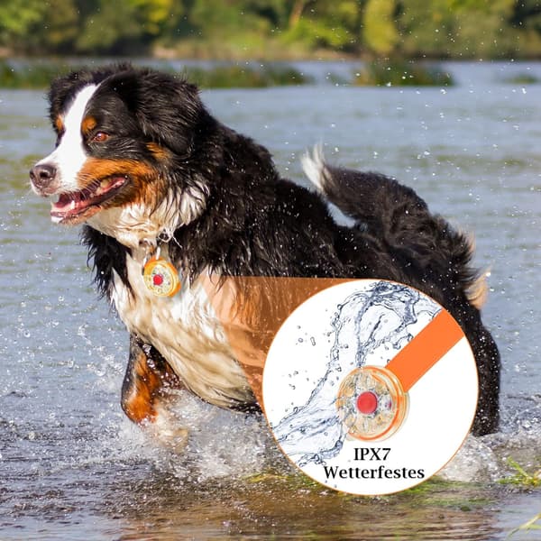 2 stk. LED-sikkerhedslys til hunde og katte, USB-genopladeligt LED-lys,