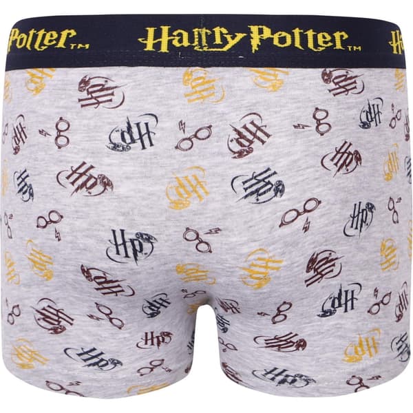 2-pack Boxerkalsonger Harry Potter 98/104 grå