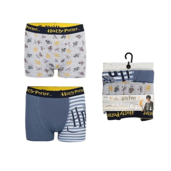 2-pack Boxerkalsonger Harry Potter Grey 92