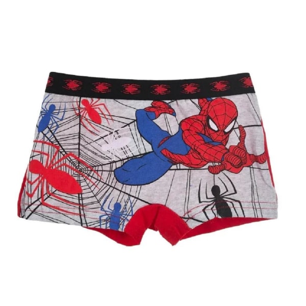 2-pack Boxerkalsonger Spider-Man Nät MultiColor 116/128 7d49 | MultiColor |  116/128 | Fyndiq