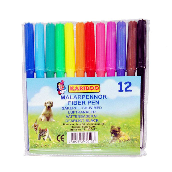 Värikynät / Merkintäkynät kapeat 12 kpl Multicolor