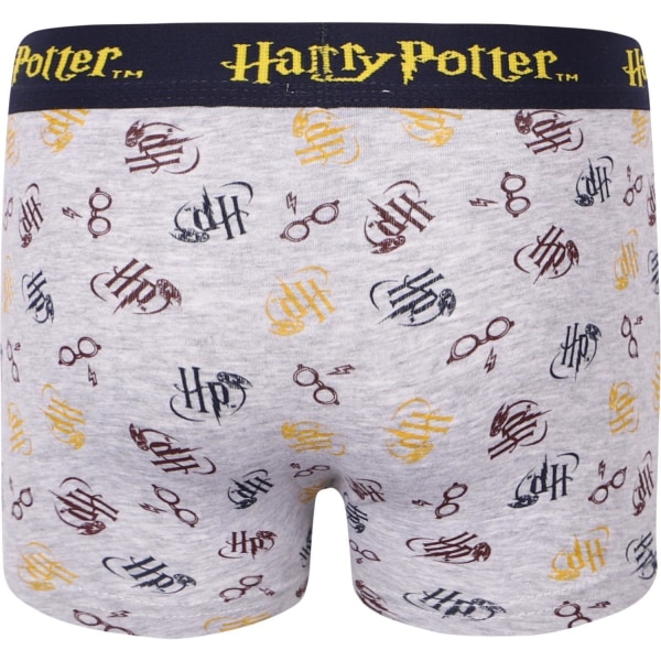 2-pack Boxerkalsonger Harry Potter Grey 92