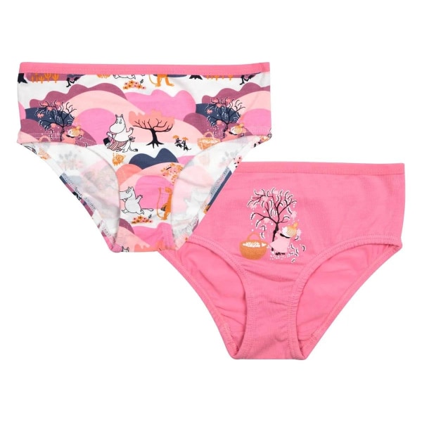 Muumi Dal pikkuhousut 2 kpl MultiColor  86-92