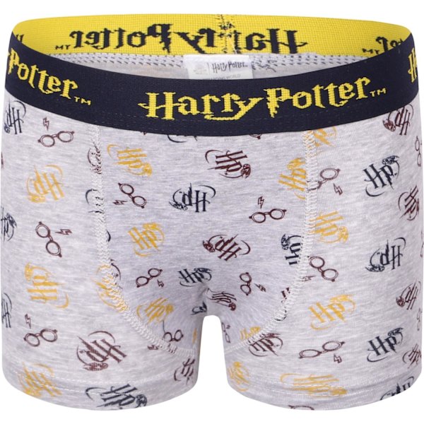 2-pack Boxerkalsonger Harry Potter Grey 110/116