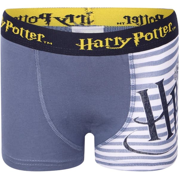 2 kpl Boxer-housut Harry Potter 98/104 Grey