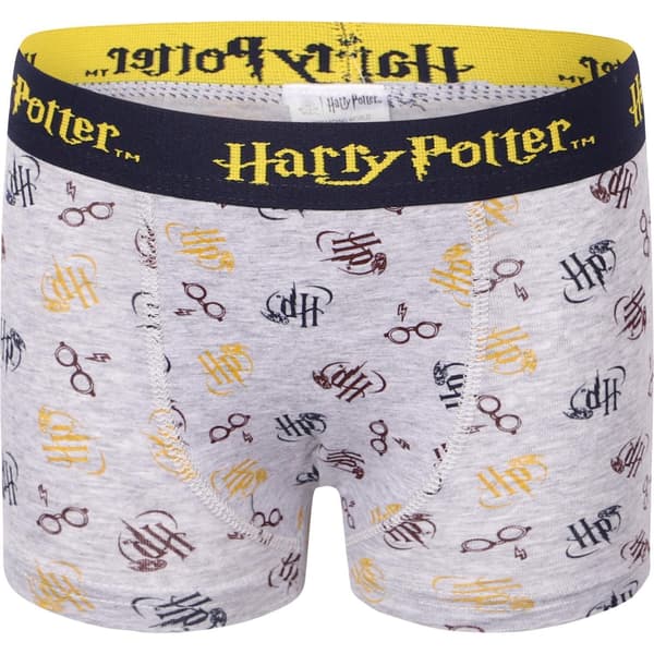 2-pack Boxerkalsonger Harry Potter 98/104 grå