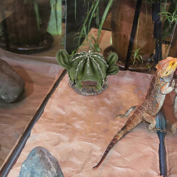 Kåda Reptilhus för Skäggagam Gömställe Grön