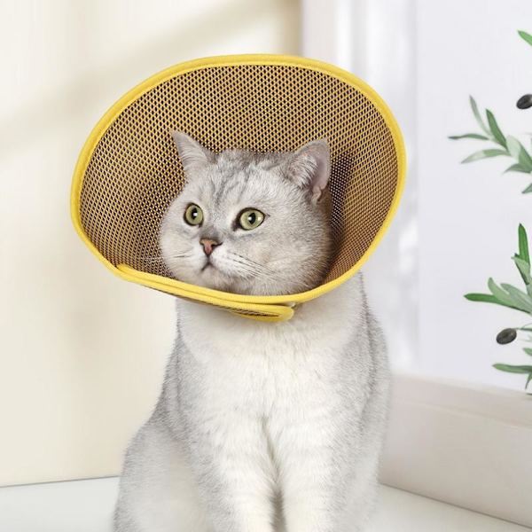 Stickad kattkonkrage M