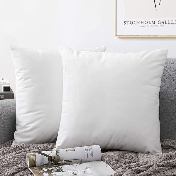 Kuddfodral, Set med 2 Sammet Kuddfodral med Dold Dragkedja, Dekorativ Kuddpresent