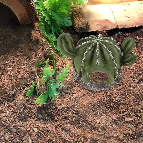 Kåda Reptilhus för Skäggagam Gömställe Grön