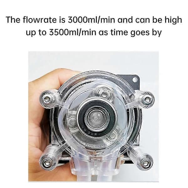 DC 24V Peristaltisk Pump med Högt Flöde 3000ml/Min Vätskeöverföringspump PHARMED BPT