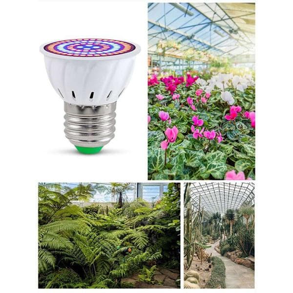 2X E27 80 LED Växtlampa LED Växtljuslampor Fullspektrum Phyto Blomfröplanta för Inomhus Hydroponiska Växter