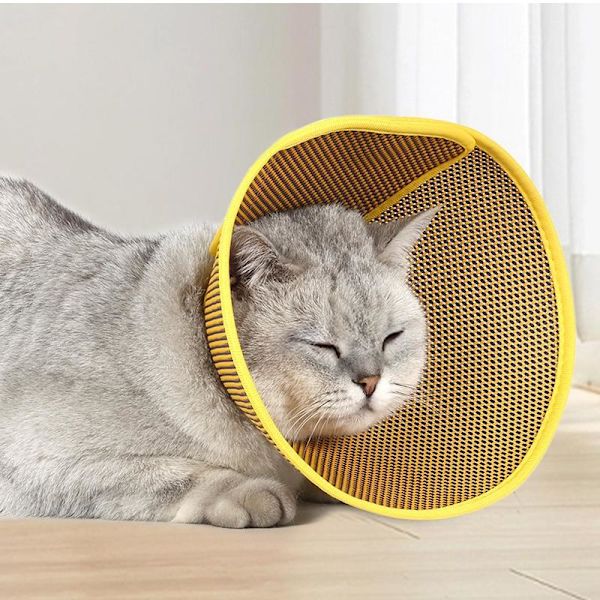Stickad kattkonkrage M