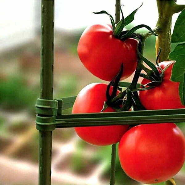 (Grøn) 24-pak Støttearme til Tomatbure Plantestøtte Have