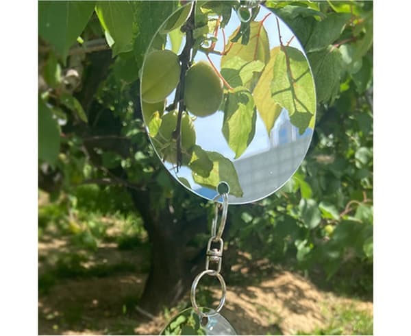 4 set reflective bird repellent discs double-sided bird scarers