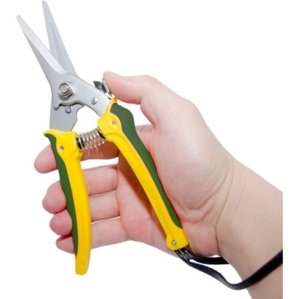 Specialist Resistenta Fotsjukesax Får Häst Get Hovsax Trimning Blomsterbeskärning Blomsterhandlare Trädgård Vassa Saxar Käkar 20,3 Längd