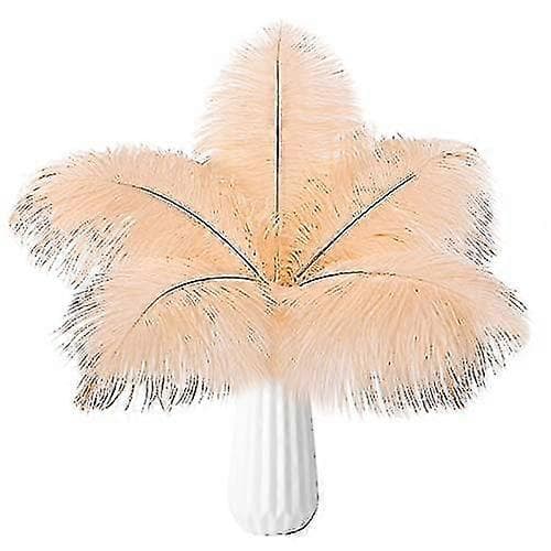 20 stk. Naturlige Strutsfjær i Bulk Rose Pink