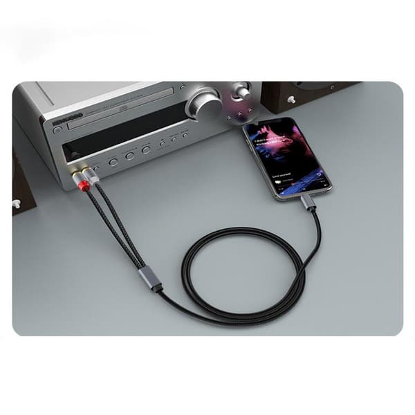 USB-C til 2x RCA stereo lydkabel Grå Grå 1.2 m