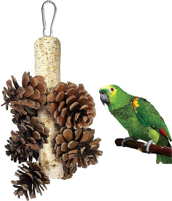 Papukaijalelu lintulelu puunrunko käpy pureskeluvarras 8 large pine cones
