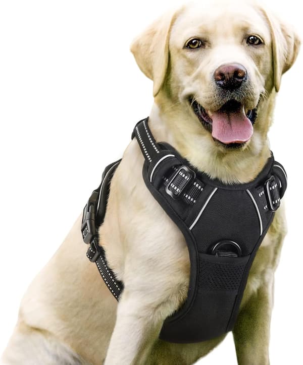 Dog Harness Anti-Pull Harness with 2 Leash Attachments, Adjustable Soft Padded Dog Vest Harness, Reflective No-Choke (Black, L)