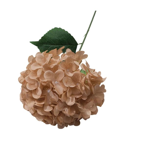 Kunstig Hortensia Blomst – til Midtpunkt & Udstilling – med Realistisk Coffee