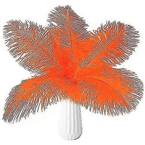 20 st Naturliga Bulk Strutsfjädrar Orange