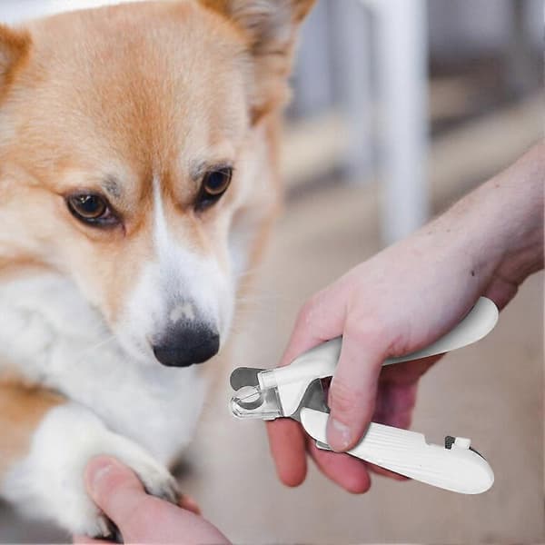 Professionel negleklipper til kæledyr med stænkbeskyttelse - Tilbehør til hunde og katte 3pcs