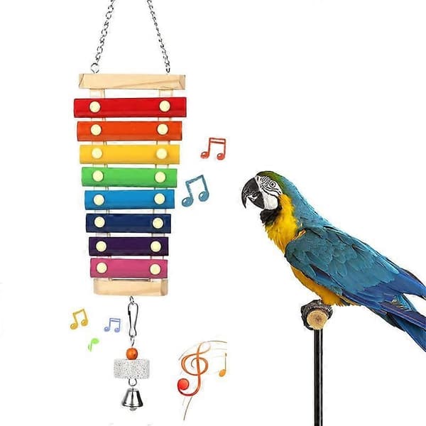 Large Parrot Toy Large Bird Hanging Xylophone Toy