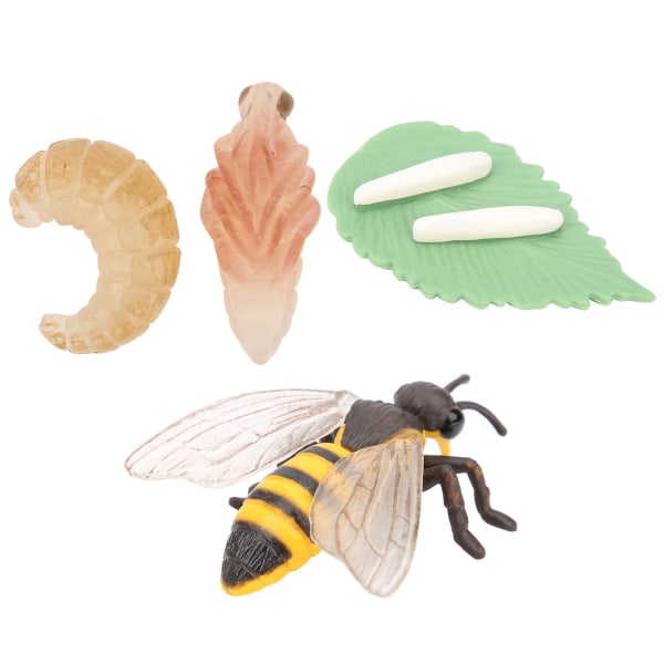 Insektsmodell Leksak Tillväxtcykel Honeybee Model Simulering Djur Barn Pedagogisk leksak