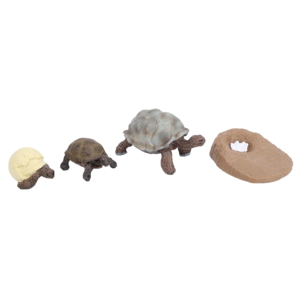 Simulaatioeläinmalli merielämäeläimet elinkaari Kognitiivinen malli Kid Science Toy2421