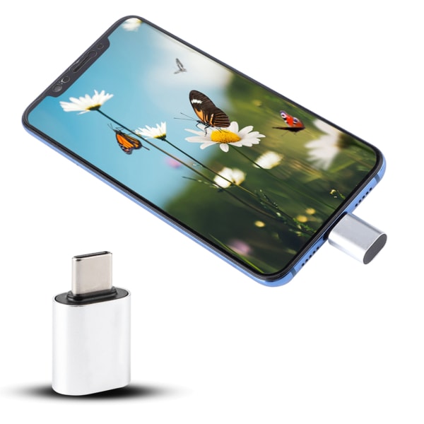 Mini USB-telefon Ultrafiolett lys bærbar håndholdt UVC LED-lampe for mobiltelefoner Sølvgrensesnitt Passer for Android