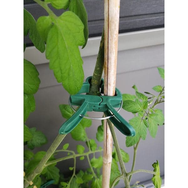 Växtklämmor / Klämmor 25/50-pack, Växtklämmor för växtstöd, för tomater och klätterväxter 25-pack 25-Pack