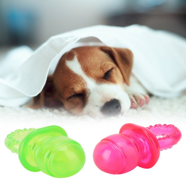 2st Husdjursvalp Molar rena tänder Leksak Napp Tugga Lek Träningsleksaker för hundkatt