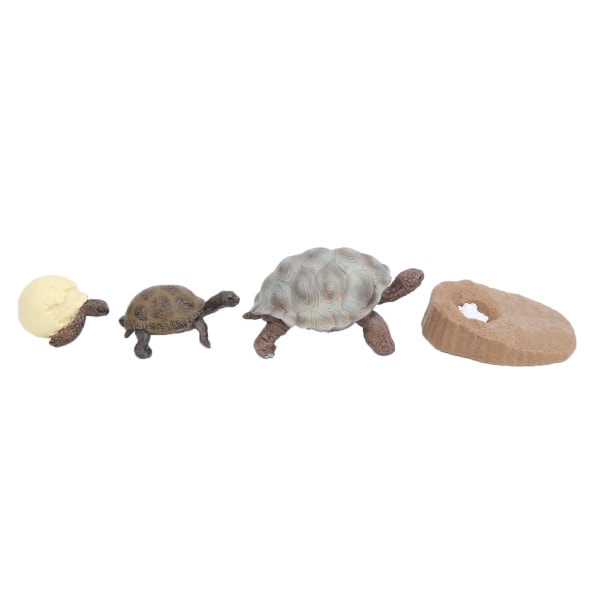 Simulaatioeläinmalli merielämäeläimet elinkaari Kognitiivinen malli Kid Science Toy2421