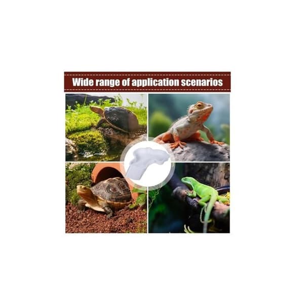 Skildpaddebassin med rampe, vandskål og solplads