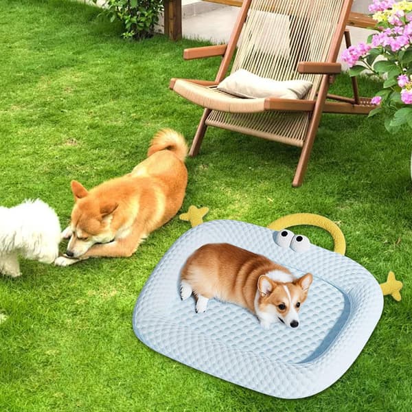 65x45cm Universal Kølemåtte til Hunde – Åndbart, Blødt Sommerkølende Design til Kæledyr