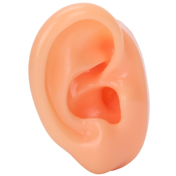 Silikone højre øre model simulering kunstig øre display model til høreapparater