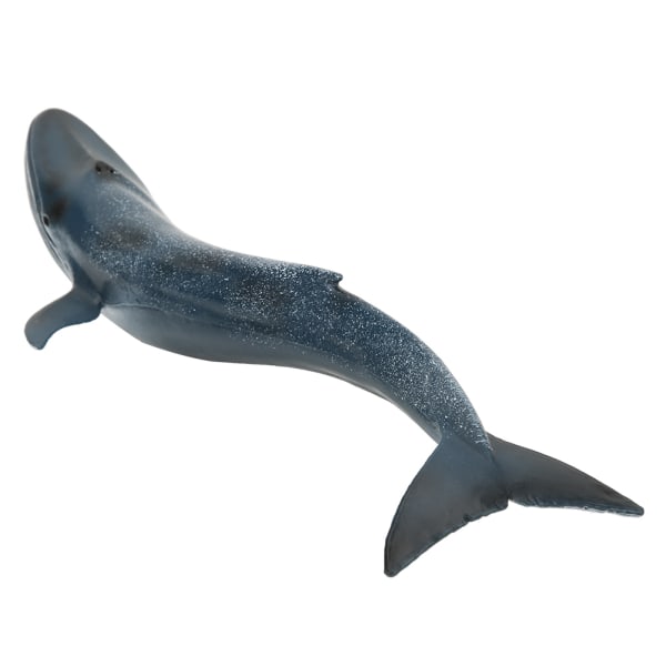 Fiskemodell Home Decor Pedagogisk Kid Søt Simulering Miniatyr Animal Toy