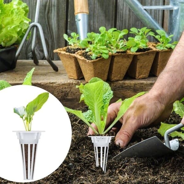 Odipie hvide plast-hydroponik-kurve til dyrkning af planter uden jord
