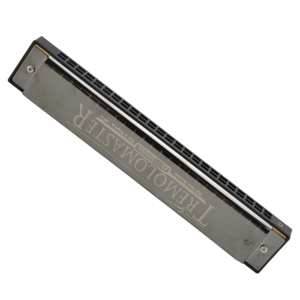 Harmonica 24 reikää avain C-suuurut instrumenttilelu case aloittelijalle lapselle aikuiselle