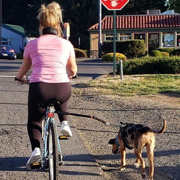 Håndfri hundecykelsnor, nyeste model, god ydeevne
