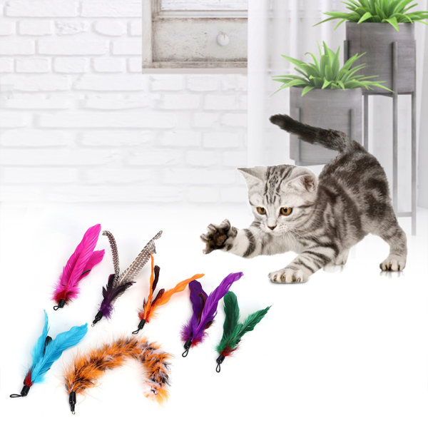7 kpl Pet Cat Teaser Dannger Toy Rod Stick höyhenen vaihtopään kissojen tarvikkeet