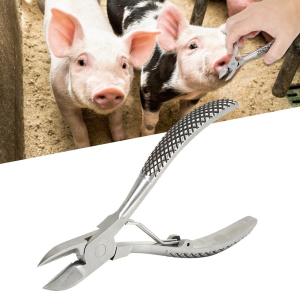 Ruostumattomasta teräksestä valmistettu pallojousi hammaspihdit sakset hampaiden leikkaus porsaille karjankasvatuslaitteet